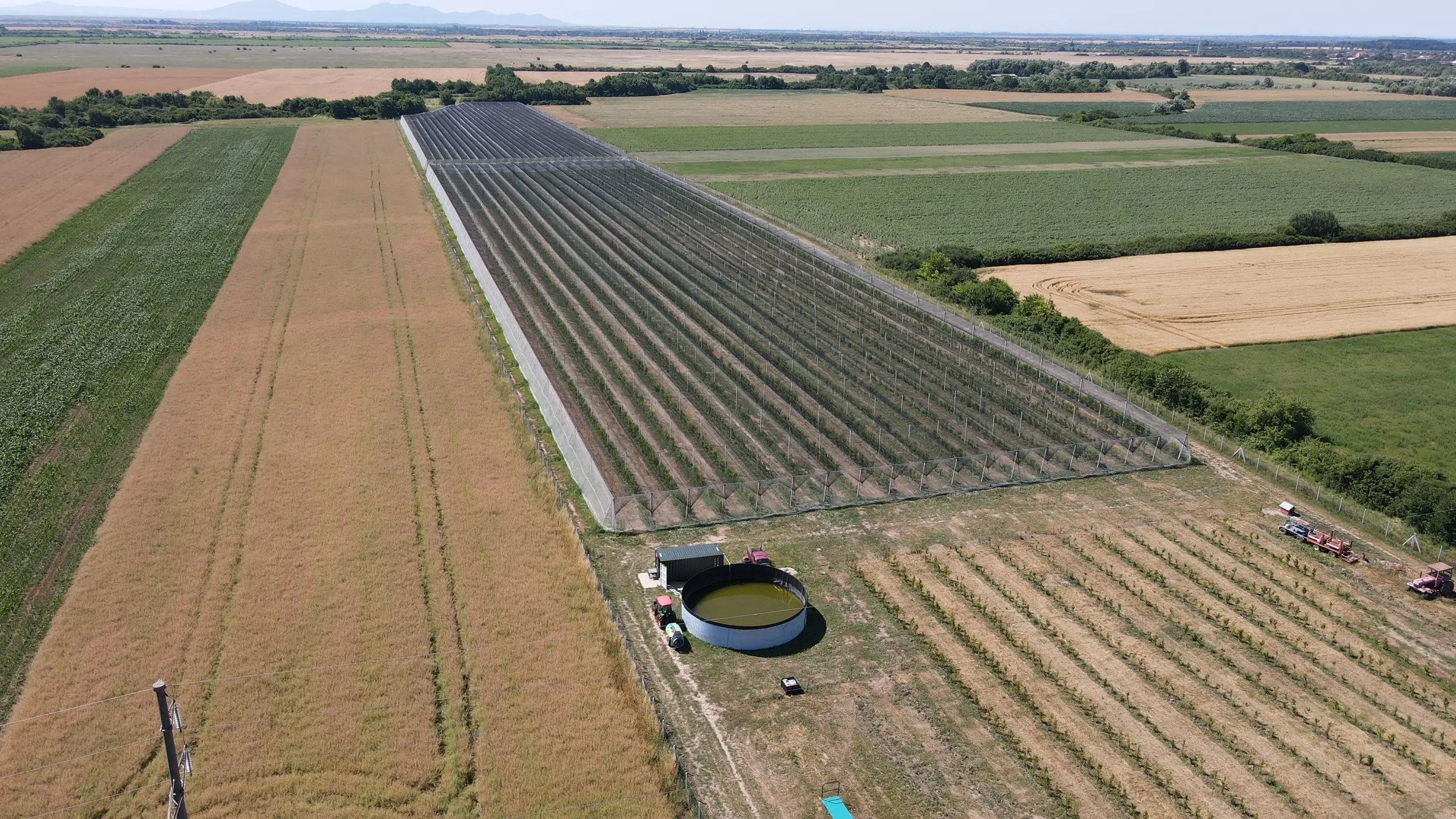 Vista aerea di frutteti protetti da reti, con bacino di raccolta e campi in pianura